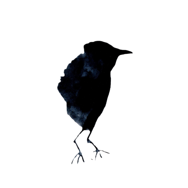 thumbnail_blackbird (inkt)